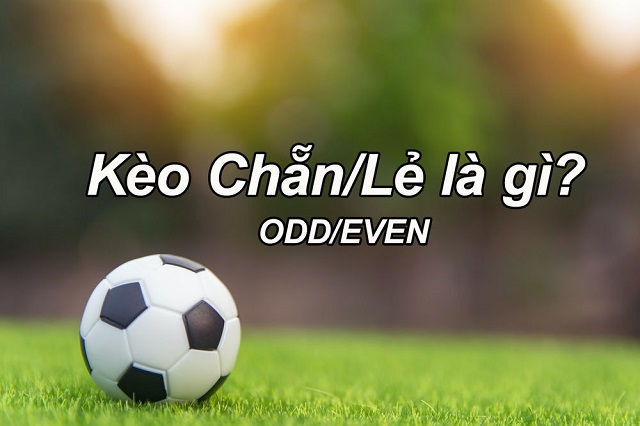 Đọc kèo chẵn lẻ như thế nào? Đọc kèo chẵn lẻ như thế nào?