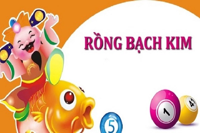 Rồng bạch kim là gì? Rồng bạch kim là gì?